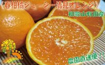 果汁たっぷり！清見オレンジ 約7kg 有機質肥料100%