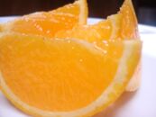 果汁たっぷり！清見オレンジ 約10kg 有機質肥料100%