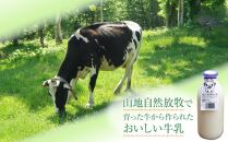 【6ヶ月定期便】斉藤牧場の山地自然放牧牛乳（900ml×2本×6回）_00577