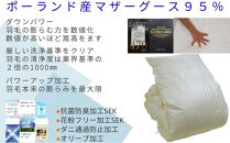 羽毛布団&nbsp;シングル&nbsp;羽毛掛け布団&nbsp;ポーランド産マザーグース95&nbsp;羽毛ふとん&nbsp;羽毛掛けふとん&nbsp;ダウンパワー470&nbsp;&nbsp;本掛け羽毛布団&nbsp;本掛け羽毛掛け布団&nbsp;寝具&nbsp;冬用羽毛布団【BE001】