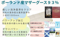 羽毛布団&nbsp;シングル&nbsp;&nbsp;ポーランド産マザーグース93&nbsp;&nbsp;ダウンパワー440羽毛掛け布団【BE004】
