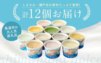 ★しまなみ・瀬戸田の素材がたっぷり！ジェラート12個【カップアイス いちご いちごみるく レモン シャーベット バニラ 抹茶 キャラメル みかん 桃 バナナ イチジク 広島 尾道】