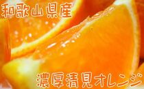 【先行予約】【春の美味】【農家直送】濃厚清見オレンジ（ご家庭用）４kg
