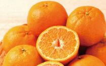 rk007　【訳あり】人気の柑橘室戸産ポンカン２．５ｋｇ