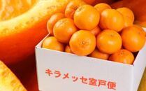 rk007　【訳あり】人気の柑橘室戸産ポンカン２．５ｋｇ