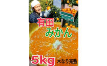 【ご家庭用】有田みかん  5kg （Ｓ～2Ｌサイズミックス）木成り完熟 大ちゃんの畑農園