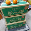 有田みかん 3kg（2S～Sサイズ小玉ちゃん）木成り完熟【ご家庭用】大ちゃんの畑農園