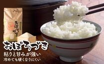 【令和7年産】あさひかわ米&nbsp;おぼろづき（10kg）_00411