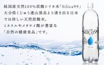 天然炭酸水Silica99　500ml×24本【 シリカ水 500ml シリカ 天然シリカ 天然炭酸水 炭酸水 炭酸 炭酸飲料 微炭酸 人気 おすすめ 大分県 由布市 AJ03】