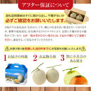 【26年発送先行予約】旭川発！北海道の赤肉メロン2玉（1玉標準&nbsp;1.3kg以上）2026年6月下旬から発送開始予定&nbsp;【&nbsp;果物&nbsp;くだもの&nbsp;フルーツ&nbsp;メロン&nbsp;赤肉&nbsp;赤肉メロン&nbsp;旬&nbsp;お取り寄せ&nbsp;甘い&nbsp;北海道産&nbsp;旭川市&nbsp;北海道&nbsp;】_01102