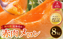 【26年発送先行予約】旭川発！北海道の赤肉メロン8kg（4～6玉）2026年7月上旬から発送開始予定&nbsp;【&nbsp;果物&nbsp;くだもの&nbsp;フルーツ&nbsp;メロン&nbsp;赤肉&nbsp;赤肉メロン&nbsp;旬&nbsp;お取り寄せ&nbsp;甘い&nbsp;北海道産&nbsp;旭川市&nbsp;北海道&nbsp;】_01103