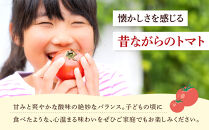 旭川市西神楽産&nbsp;桃太郎トマト4kg（2026年6月中旬～発送開始予定）_00960