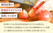 旭川市西神楽産&nbsp;桃太郎トマト4kg（2026年6月中旬～発送開始予定）_00960