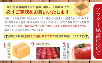 旭川市西神楽産&nbsp;桃太郎トマト4kg（2026年6月中旬～発送開始予定）_00960