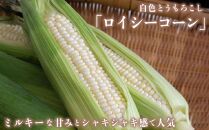 江別産　『春夏秋菜』とうもろこし食べ比べセット/2024年8月上旬より順次発送