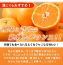 【ご家庭用訳アリ】紀州有田産濃厚完熟温州みかん　5kg【先行予約】【UT13】