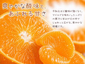 果肉ぷりぷり!完熟はるみ　５ｋｇ［2027年2月上旬頃～2027年2月下旬頃に順次発送］［UT22］