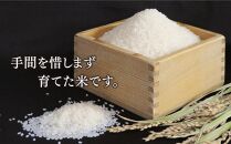 【2024年10月下旬より順次発送】特別栽培米　ゆめぴりか　白米10kg_00438
