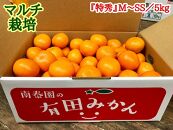 定期便 先行受付 2025年 10月発送スタート 有田みかん 食べくらべ 3種 特秀 各 5kg コース 全3回 南泰園