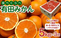 定期便 ちょっと 傷あり 5kg ×3 回 コース 有田みかん 食べくらべ 3種 全3回 南泰園