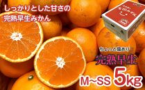 定期便 ちょっと 傷あり 5kg ×3 回 コース 有田みかん 食べくらべ 3種 全3回 南泰園