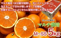 定期便 ちょっと 傷あり 5kg ×3 回 コース 有田みかん 食べくらべ 3種 全3回 南泰園