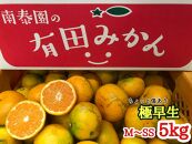 定期便 先行受付 2025年 10月発送スタート 有田みかん 食べくらべ 3種 ちょっと傷あり 5kg × 3回 コース 南泰園