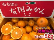 定期便 先行受付 2025年 10月発送スタート 有田みかん 食べくらべ 3種 ちょっと傷あり 5kg × 3回 コース 南泰園