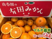 定期便 先行受付 2025年 10月発送スタート 有田みかん 食べくらべ 3種 ちょっと傷あり 5kg × 3回 コース 南泰園