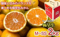 定期便 ちょっと 傷あり 2kg × 3回 コース 有田みかん 食べくらべ 3種 全3回 南泰園