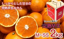 定期便 ちょっと 傷あり 2kg × 3回 コース 有田みかん 食べくらべ 3種 全3回 南泰園