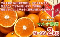 定期便 ちょっと 傷あり 2kg × 3回 コース 有田みかん 食べくらべ 3種 全3回 南泰園