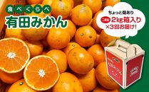 定期便 先行受付 2025年 10月発送スタート ちょっと 傷あり 2kg × 3回 コース 有田みかん 食べくらべ 3種 南泰園