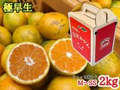 定期便 先行受付 2025年 10月発送スタート ちょっと 傷あり 2kg × 3回 コース 有田みかん 食べくらべ 3種 南泰園