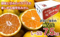 定期便 訳あり 傷多め 7.5kg × 3回 コース 有田みかん 食べくらべ 3種 全3回 南泰園