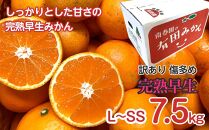 定期便 訳あり 傷多め 7.5kg × 3回 コース 有田みかん 食べくらべ 3種 全3回 南泰園