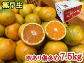 定期便 先行受付 2025年 10月発送スタート 訳あり 傷多め 7.5kg × 3回 コース 有田みかん 食べくらべ 3種 南泰園