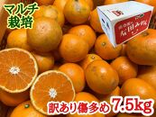 定期便 先行受付 2025年 10月発送スタート 訳あり 傷多め 7.5kg × 3回 コース 有田みかん 食べくらべ 3種 南泰園