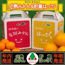 《みかんは年内発送》定期便 手さげ箱 セット 完熟早生 有田みかん ＆ はっさく 全2回 南泰園