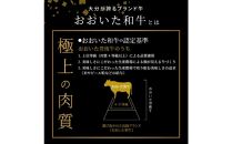 【A4等級以上】百年の恵みおおいた和牛すき焼きしゃぶしゃぶ用400g（ウデ）