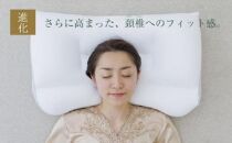 AA156　王様の夢 枕 2 低めタイプ (超極小ビーズ素材、専用枕カバー付き)【104-000505-100】