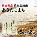 【 新米 】令和４年産あきたこまち「特別栽培米さくらこまち　精米１０kg」中仙さくらファーム