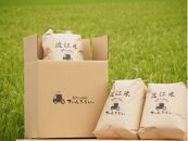 ◆【令和4年産】ファーム・ひらい　環境こだわり米（みずかがみ玄米10kg×3）