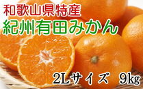 [秀品]和歌山有田みかん約9kg(2Lサイズ) ★2024年11月中旬頃より順次発送【TM85】