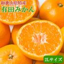 [秀品]和歌山有田みかん約9kg(2Lサイズ) ★2024年11月中旬頃より順次発送【TM85】