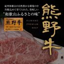 熊野牛 自家製ハンバーグ 10個入り