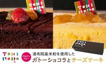 グルテンフリー湯布院産米粉を使用したガトーショコラとチーズケーキのセット【由布院ときの色】