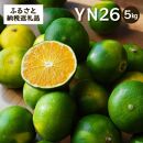 YN26｜和歌山で生まれた極早生みかんの新品種【2024年9月発送開始】