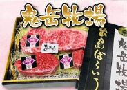 【AB472】長崎和牛 出島ばらいろ 特上ヒレステーキ２枚＆ 特上サーロインブロック【ポイント交換専用】