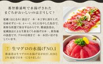 生まぐろの本場紀州勝浦から直送！　生メバチマグロ 約600g